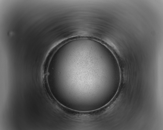 X0000094961070200712061307