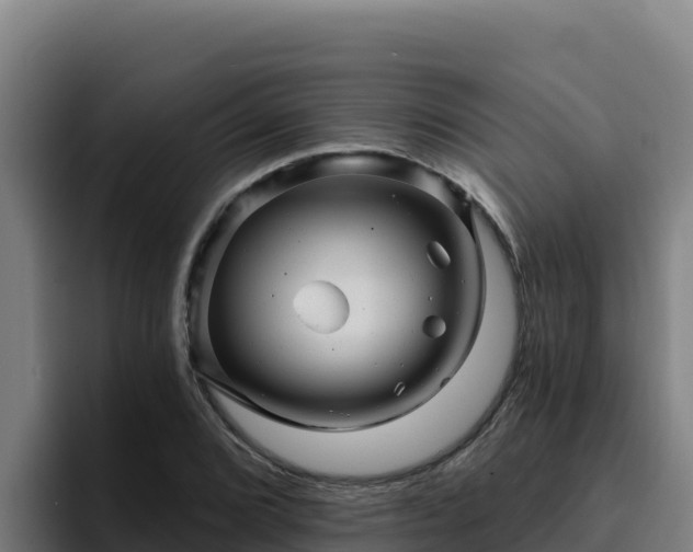 X0000094961072200712061307