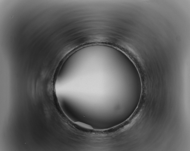 X0000094961073200712061307