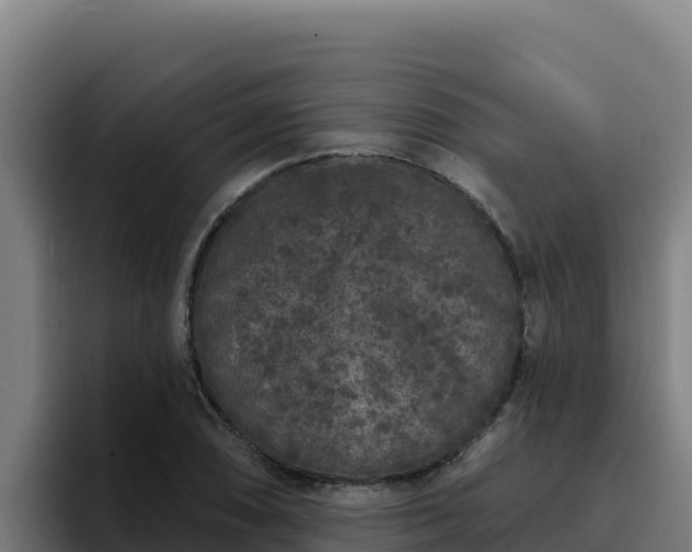 X0000094961074200712061307