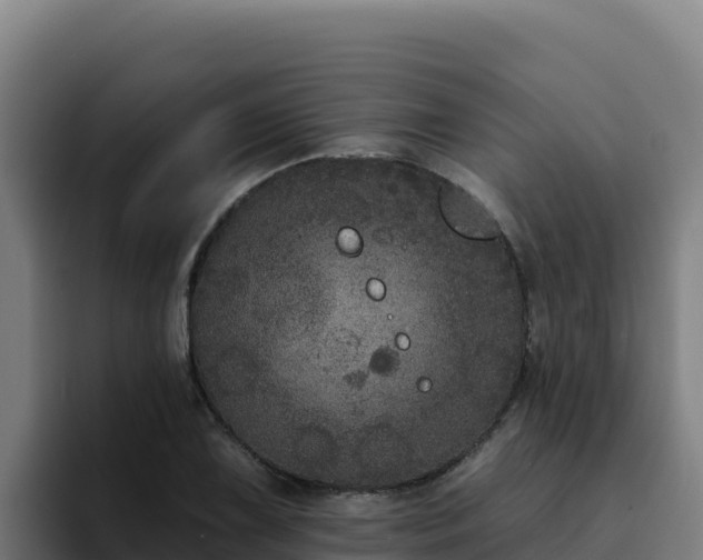 X0000094961075200712061307