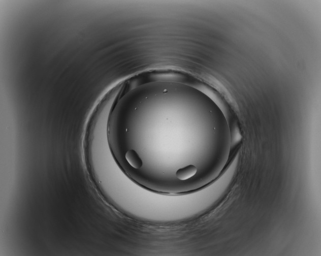 X0000094961076200712061307