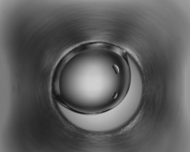 X0000094961077200712061307