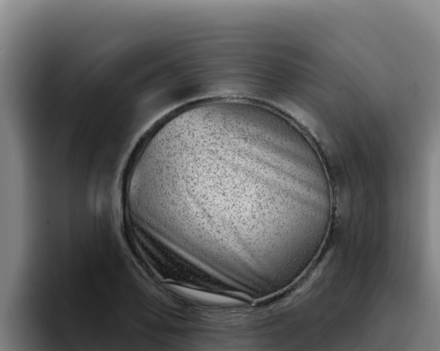 X0000094961078200712061307