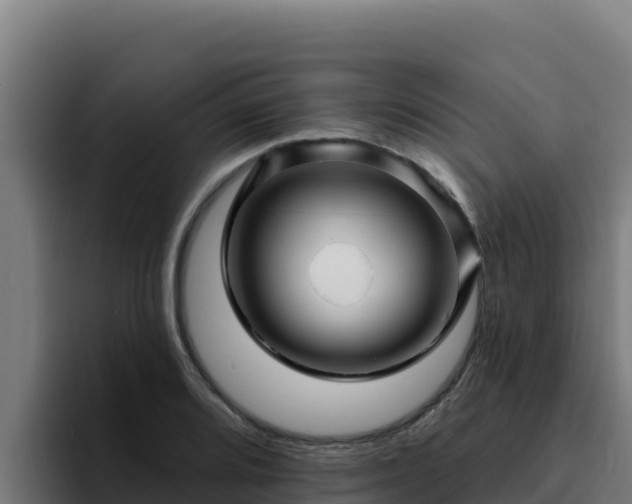 X0000094961080200712061307