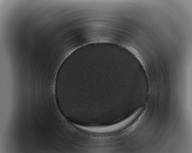 X0000094961081200712061307