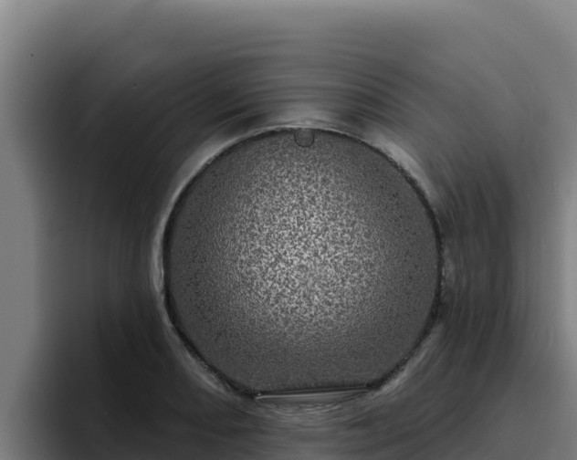 X0000094961082200712061307