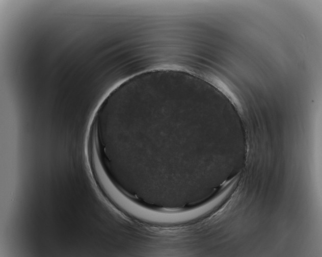 X0000094961084200712061307