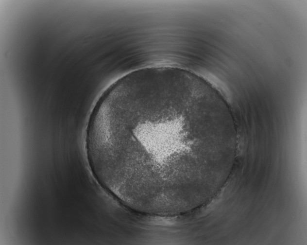 X0000094961086200712061307