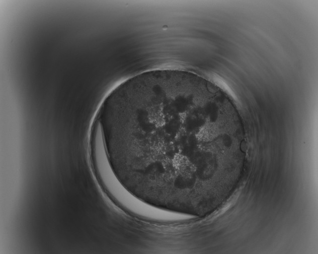 X0000094961087200712061307