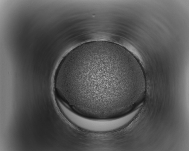 X0000094961088200712061307