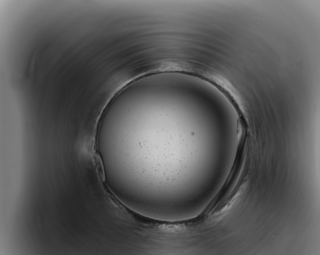 X0000094961089200712061307