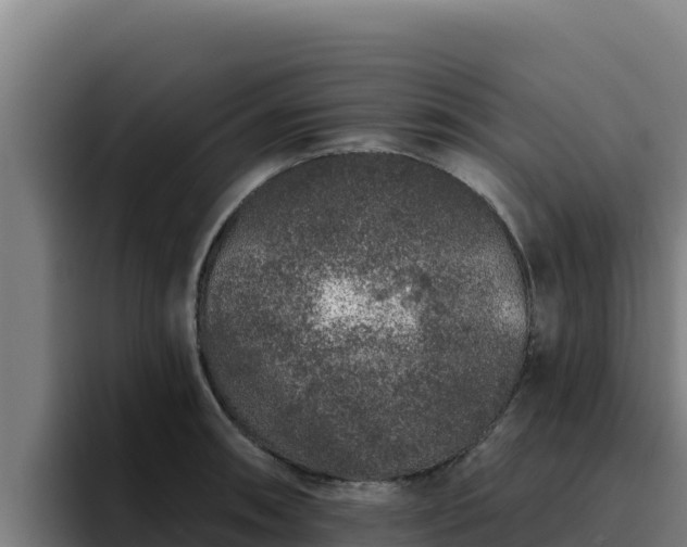 X0000094961090200712061307