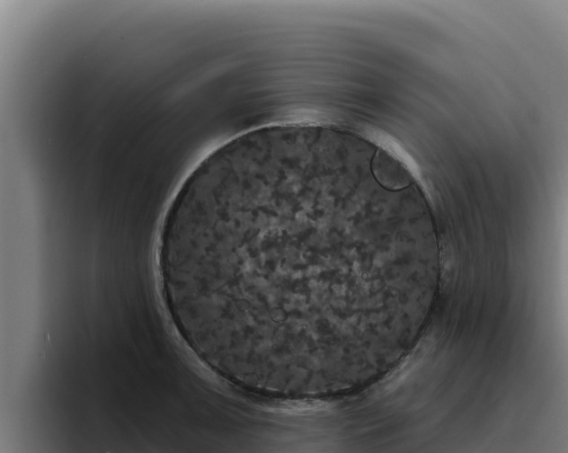 X0000094961091200712061307