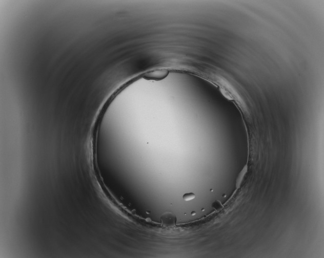 X0000094961092200712061307