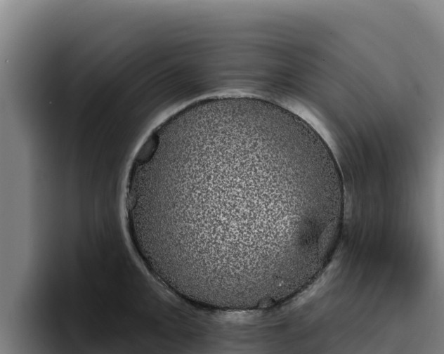 X0000094961093200712061307