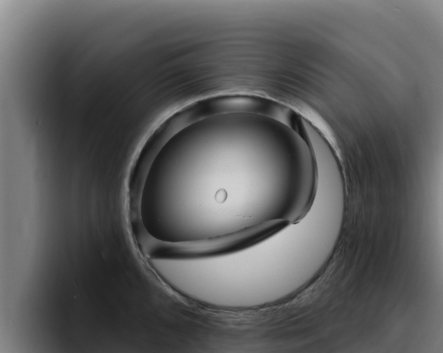 X0000094961096200712061306