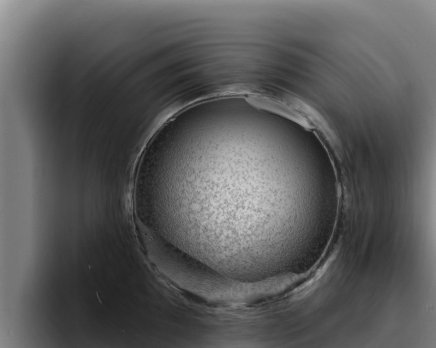 X0000094961097200712061306