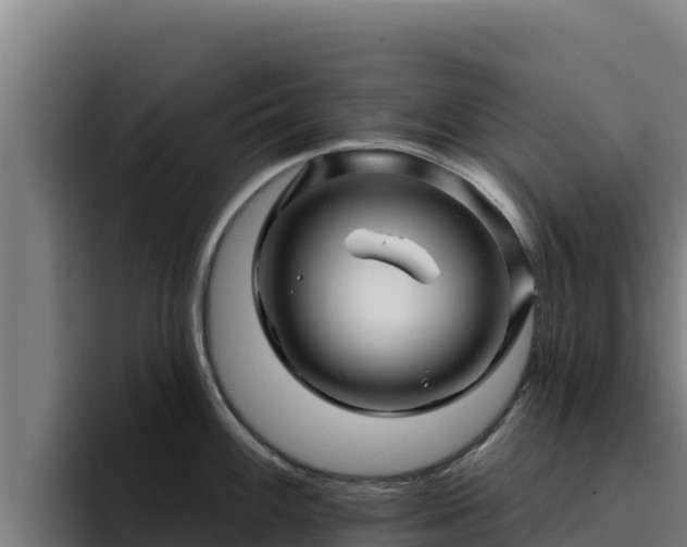 X0000094961100200712061306