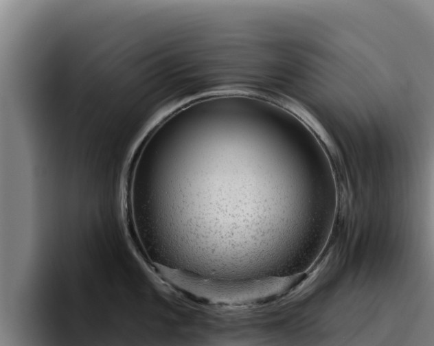 X0000094961101200712061306