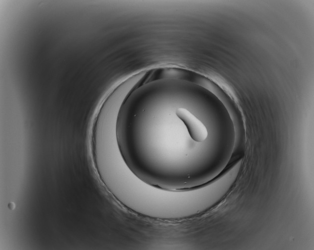 X0000094961104200712061306