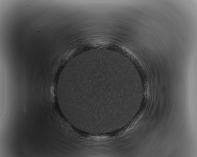 X0000094961108200712061306