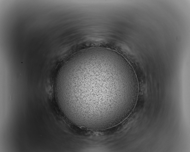 X0000094961109200712061306