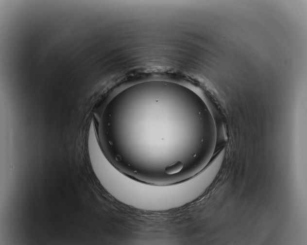 X0000094961110200712061306