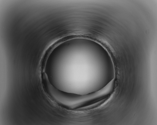 X0000094961114200712061306