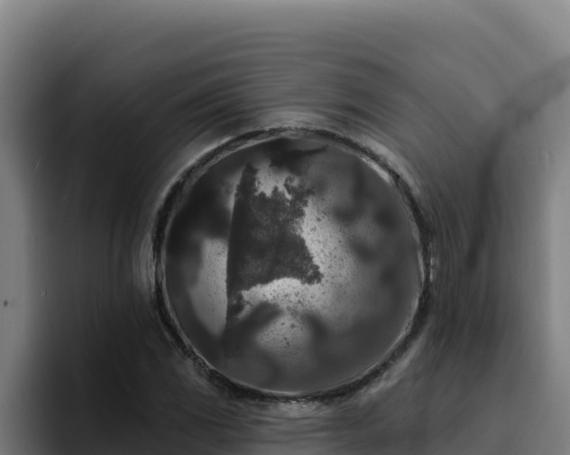 X0000094961117200712061306