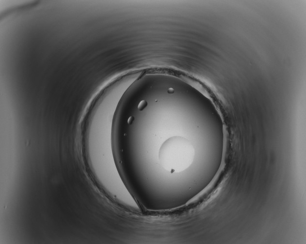 X0000094961118200712061306