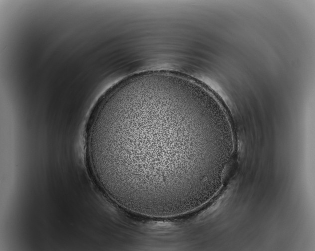 X0000094961119200712061306