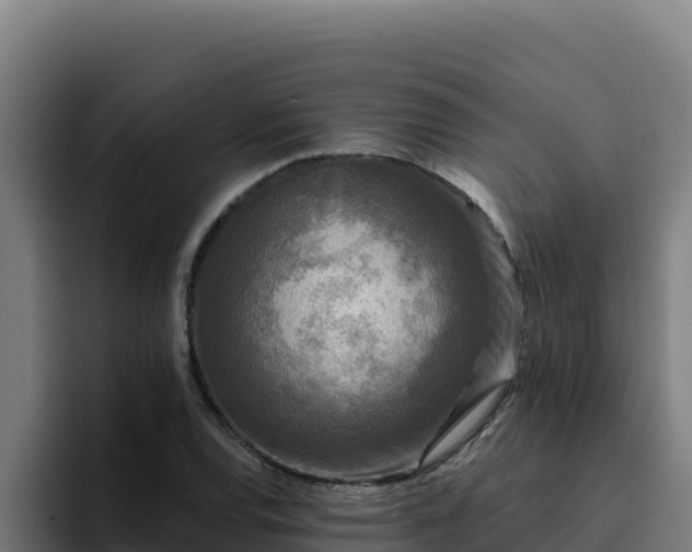 X0000094961120200712061306