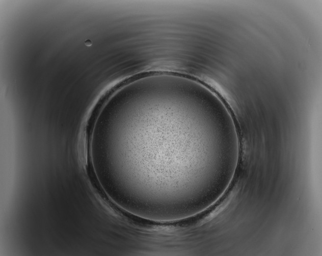 X0000094961123200712061306