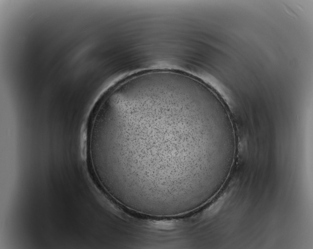 X0000094961126200712061306