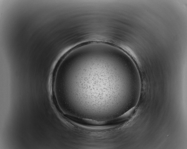 X0000094961128200712061306