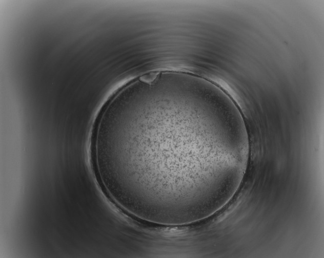 X0000094961139200712061306