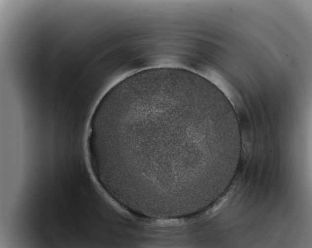 X0000094961142200712061306