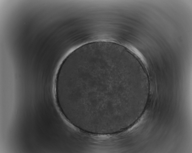 X0000094961144200712061306