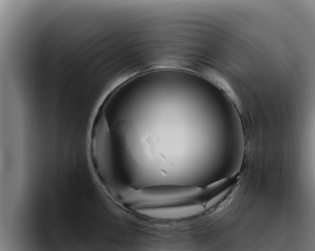 X0000094961146200712061306