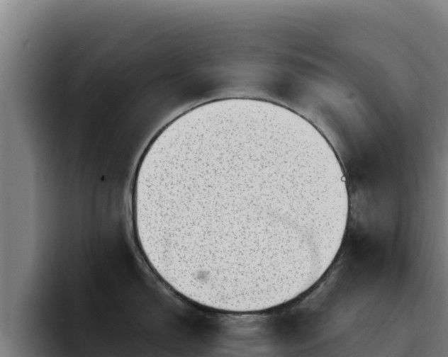 X0000094961150200712061306