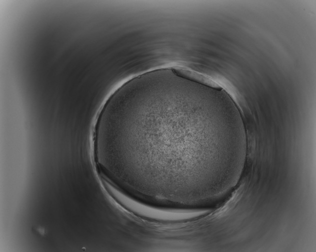 X0000094961151200712061306