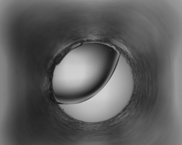 X0000094961160200712061306