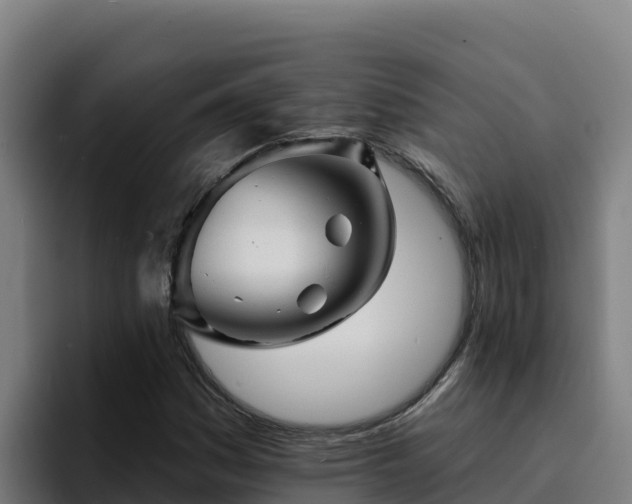 X0000094961161200712061306