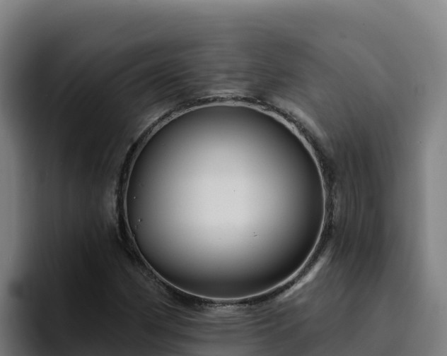 X0000094961162200712061306