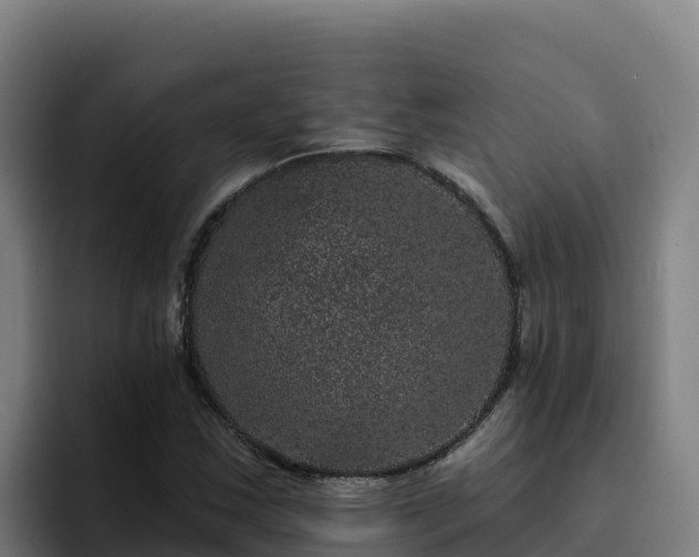 X0000094961163200712061306