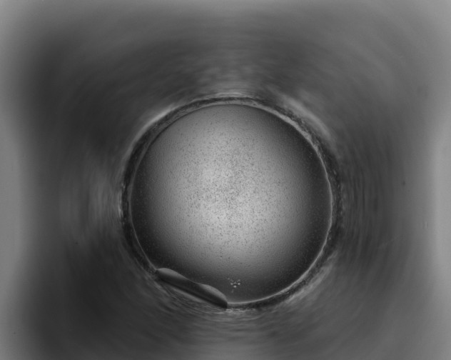 X0000094961166200712061306