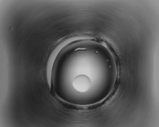 X0000094961169200712061306