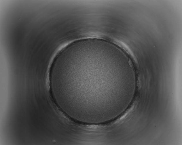 X0000094961172200712061305