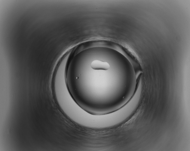 X0000094961173200712061305